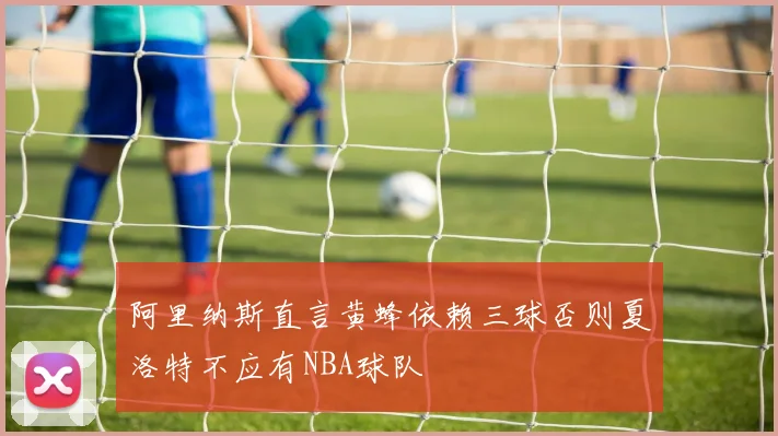 阿里纳斯直言黄蜂依赖三球否则夏洛特不应有NBA球队